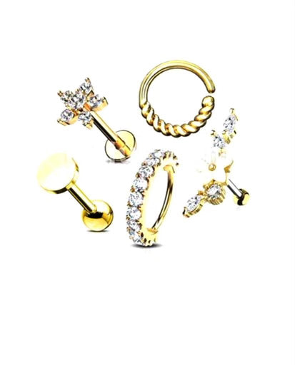 Surgical Steel 5 Piece Assorted Barbell Studs and Hoops Mix Value Pack