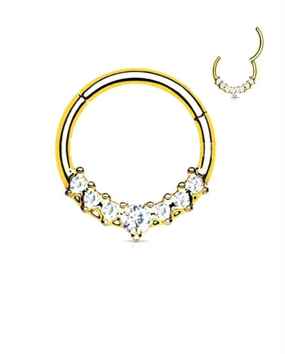 CZ Surgical Steel Segment Hooping Ring